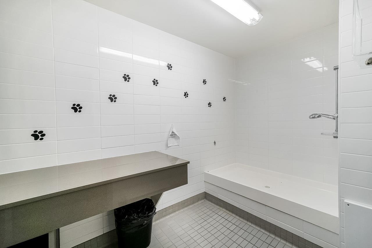 49 8138 204 Street, Langley, British Columbia  V2Y 0T4 - Photo 38 - R3065495