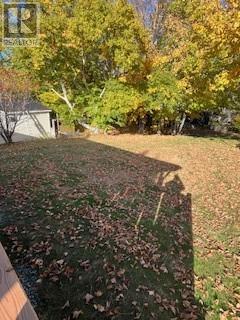 12 Noseworthys Lane, Conception Bay South, Newfoundland & Labrador  A1W 3E4 - Photo 3 - 1292363