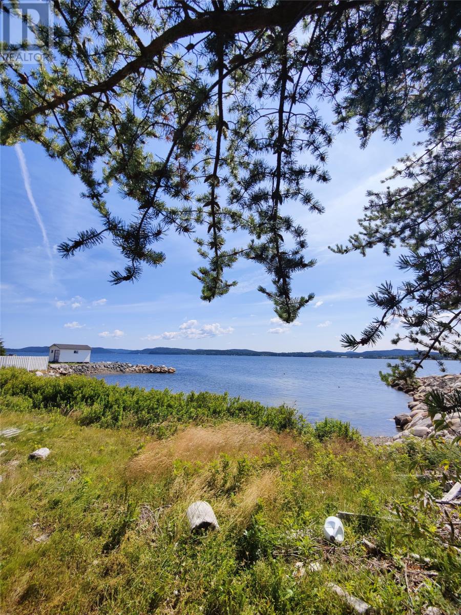 122 Main Street N, Glovertown, Newfoundland & Labrador  A0G 2L0 - Photo 33 - 1292279