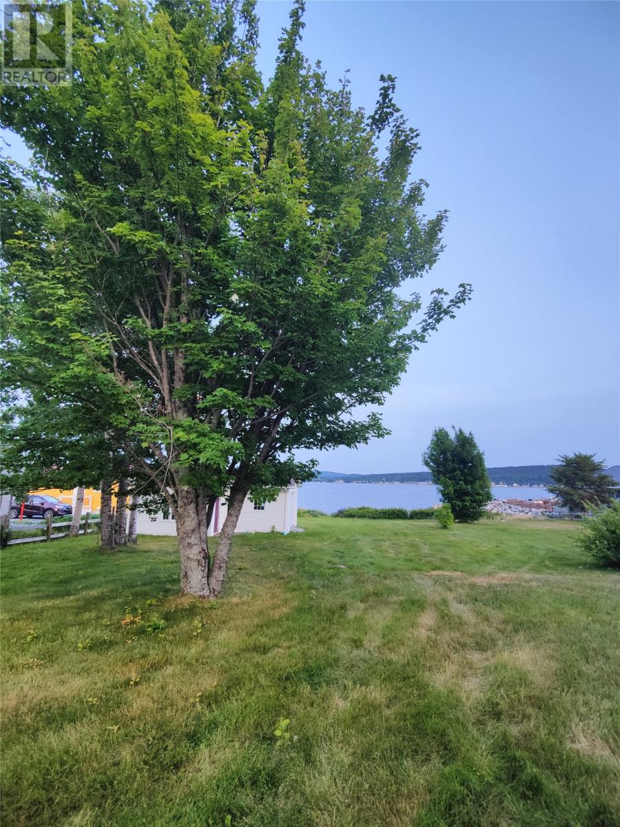 122 Main Street N, Glovertown, Newfoundland & Labrador  A0G 2L0 - Photo 46 - 1292279