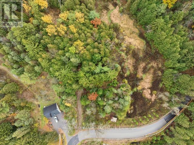 838 Brookdale Road, Uxbridge, Ontario L9P 1R4 - Photo 13 - N12518526