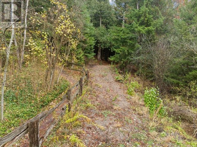 838 Brookdale Road, Uxbridge, Ontario L9P 1R4 - Photo 17 - N12518526