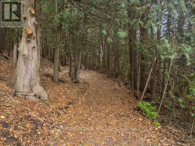 838 Brookdale Road, Uxbridge, Ontario L9P 1R4 - Photo 18 - N12518526