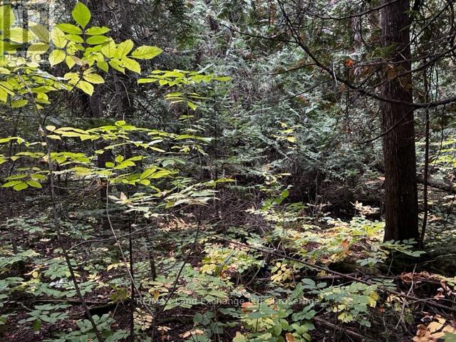 2 Shore Road, Saugeen Shores, Ontario  N0H 2L0 - Photo 12 - X12518498