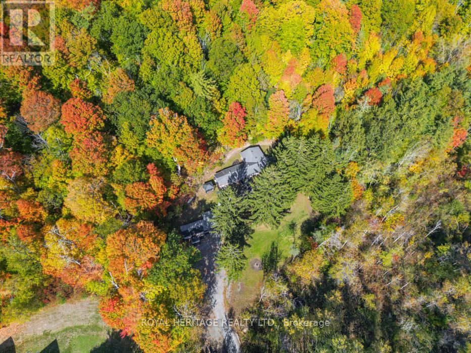 15354 County Road 2 Road, Brighton, Ontario K0K 1H0 - Photo 35 - X12518546