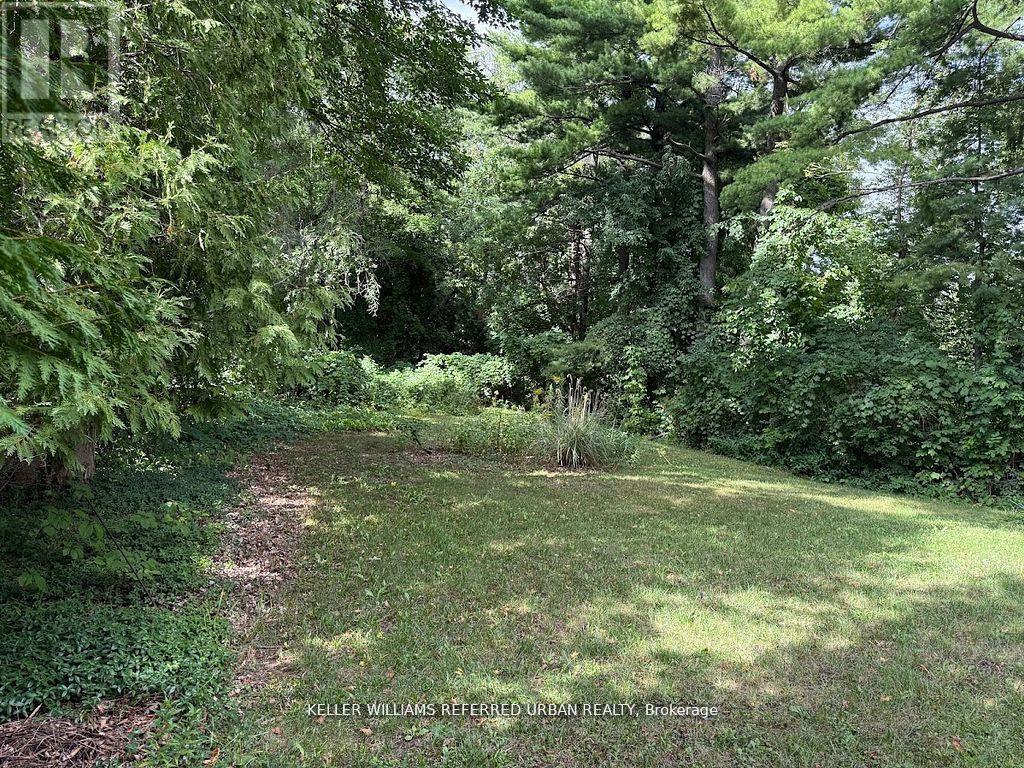 90 Proctor Avenue S, Markham, Ontario  L3T 1M7 - Photo 4 - N12518434