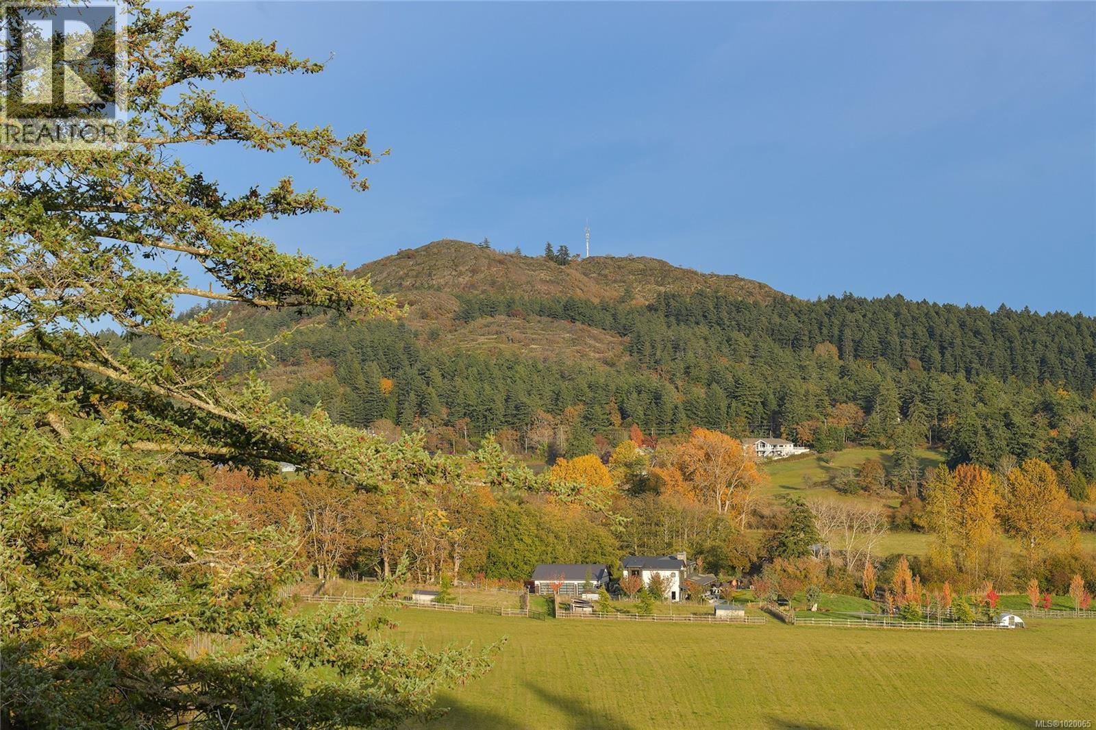 4259 Westervelt Pl, Saanich, British Columbia  V8X 5C1 - Photo 25 - 1020065