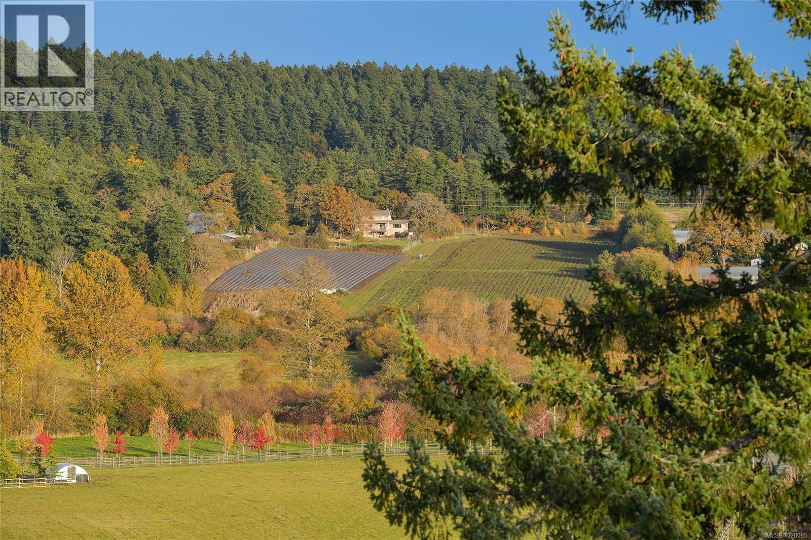 4259 Westervelt Pl, Saanich, British Columbia  V8X 5C1 - Photo 3 - 1020065