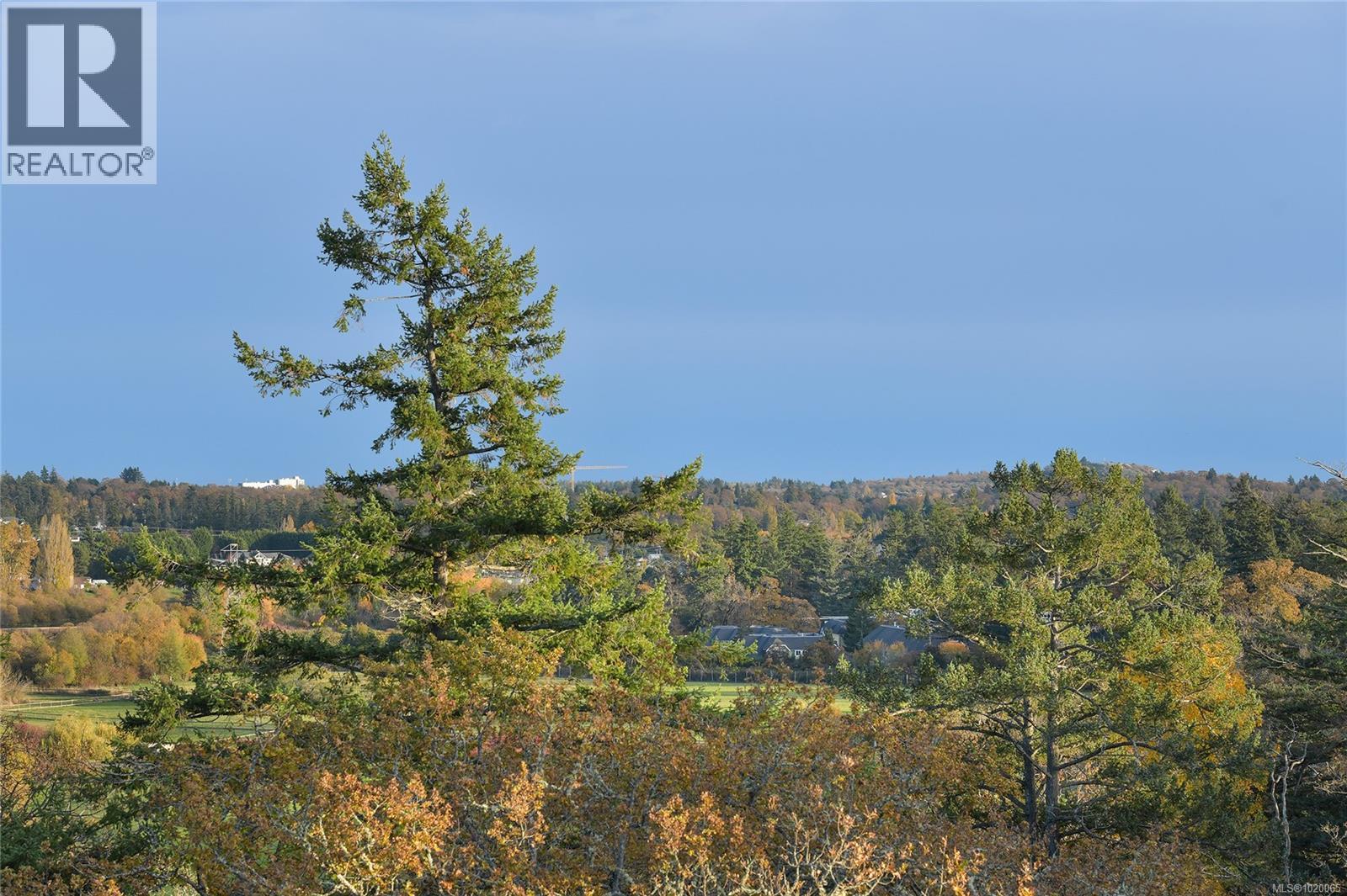 4259 Westervelt Pl, Saanich, British Columbia  V8X 5C1 - Photo 50 - 1020065