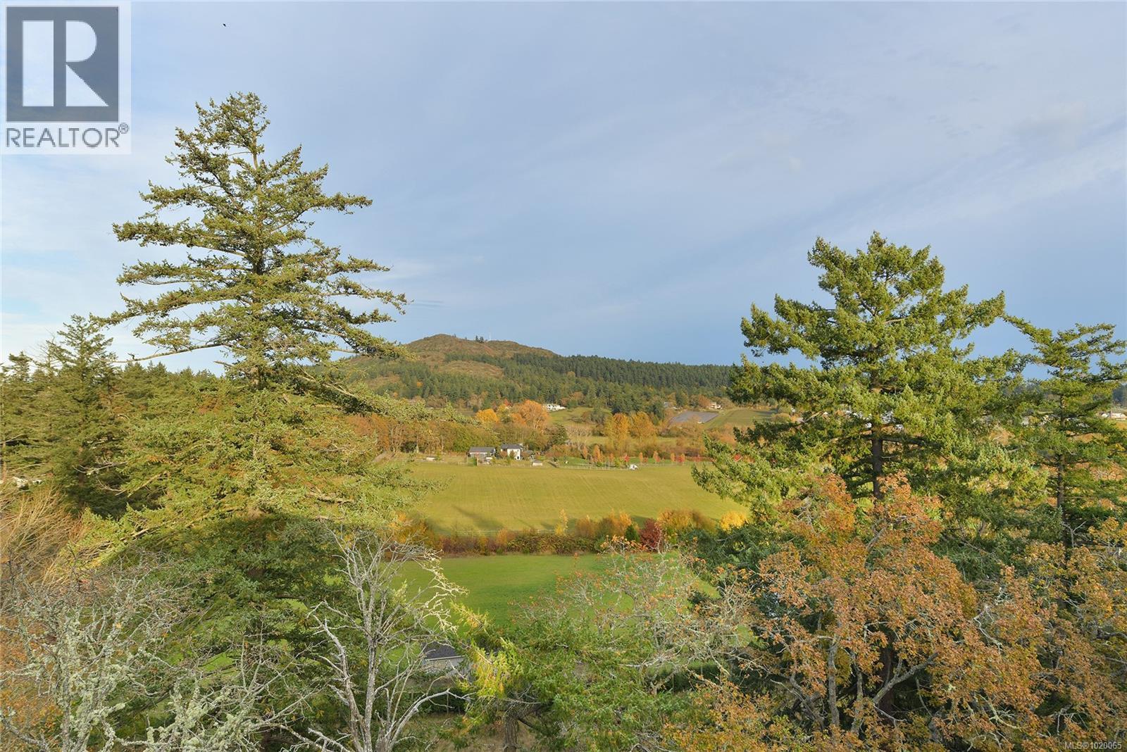 4259 Westervelt Pl, Saanich, British Columbia  V8X 5C1 - Photo 51 - 1020065