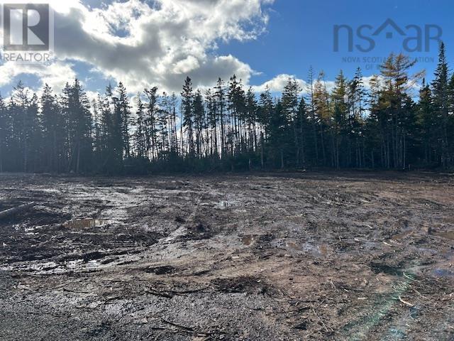 Lot 12 Northside Drive, St. Peter's, Nova Scotia  B0E 3B0 - Photo 4 - 202527340