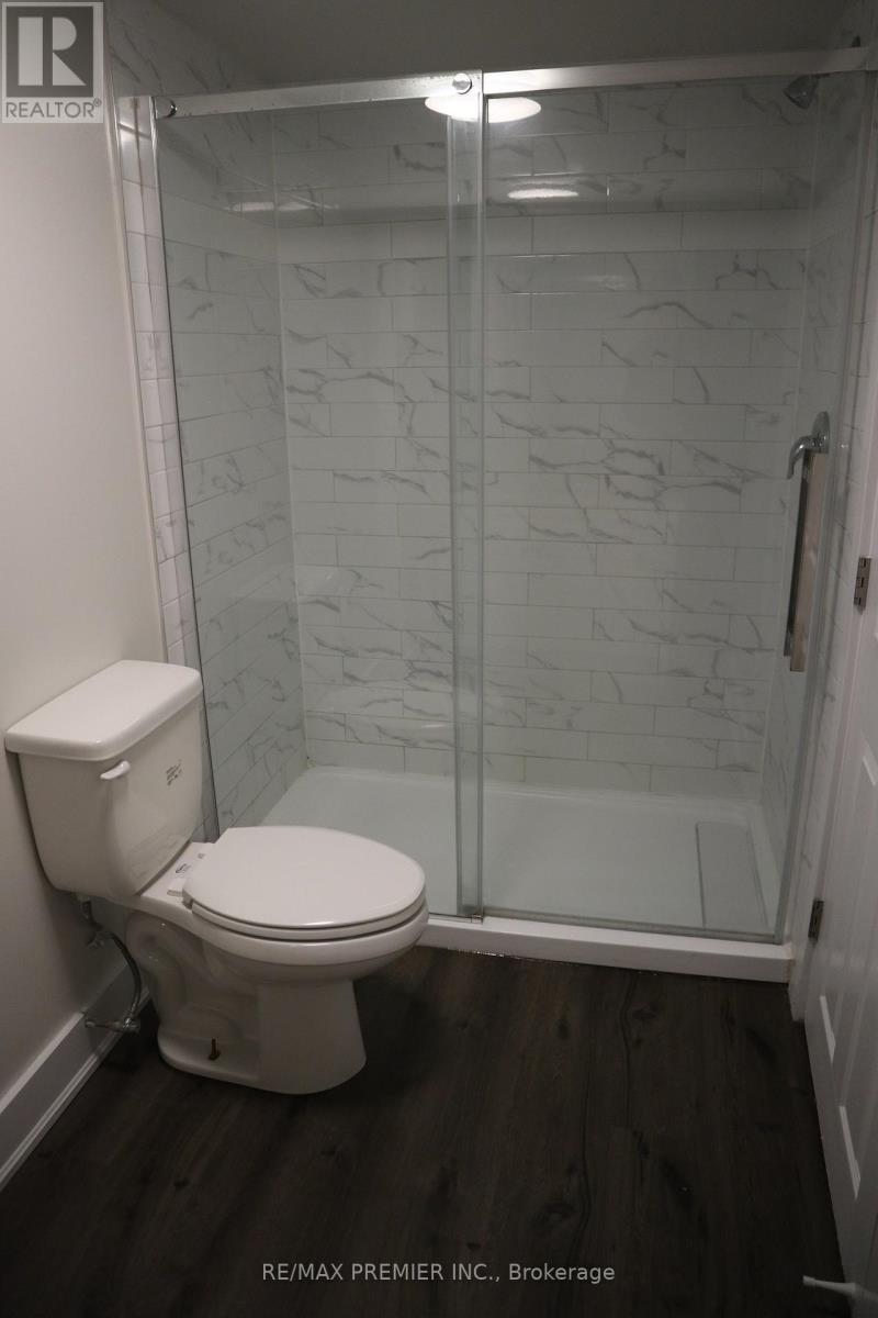 0 Bsmt - 79 Wellington Street E, Barrie, Ontario  L4M 2C3 - Photo 14 - S12518378