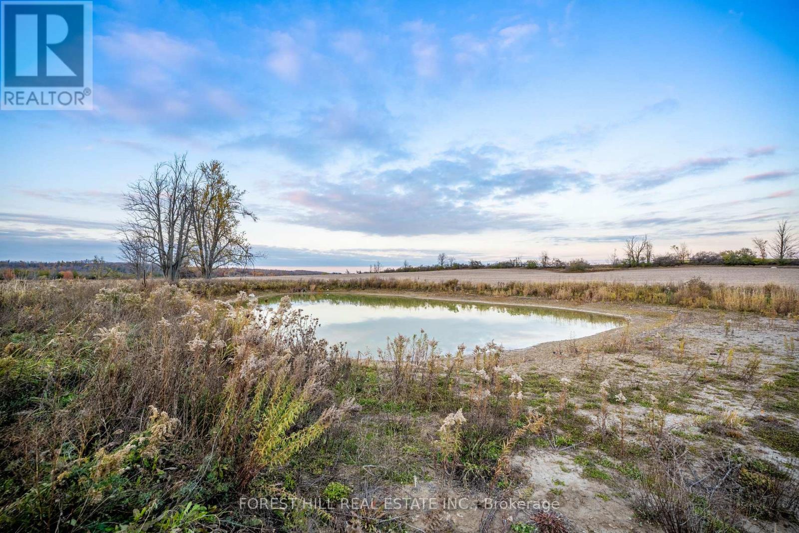 635 Wilson Line, Cavan Monaghan, Ontario L0A 1C0 - Photo 7 - X12518636