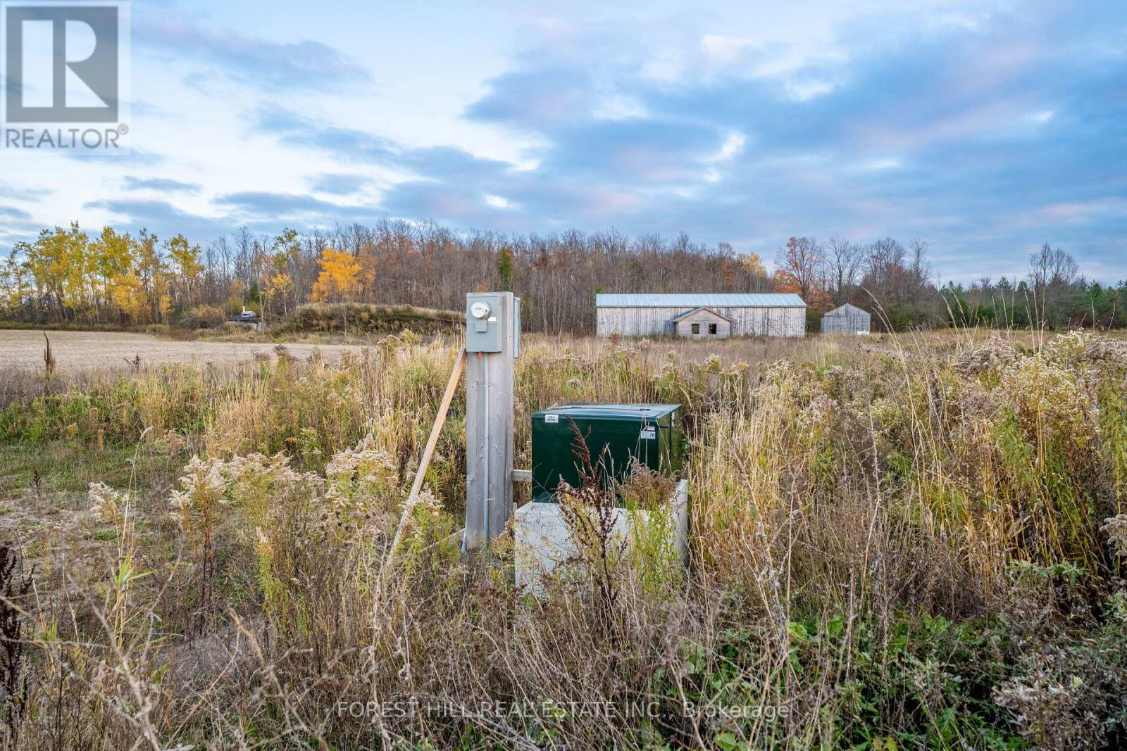 635 Wilson Line, Cavan Monaghan, Ontario L0A 1C0 - Photo 8 - X12518636