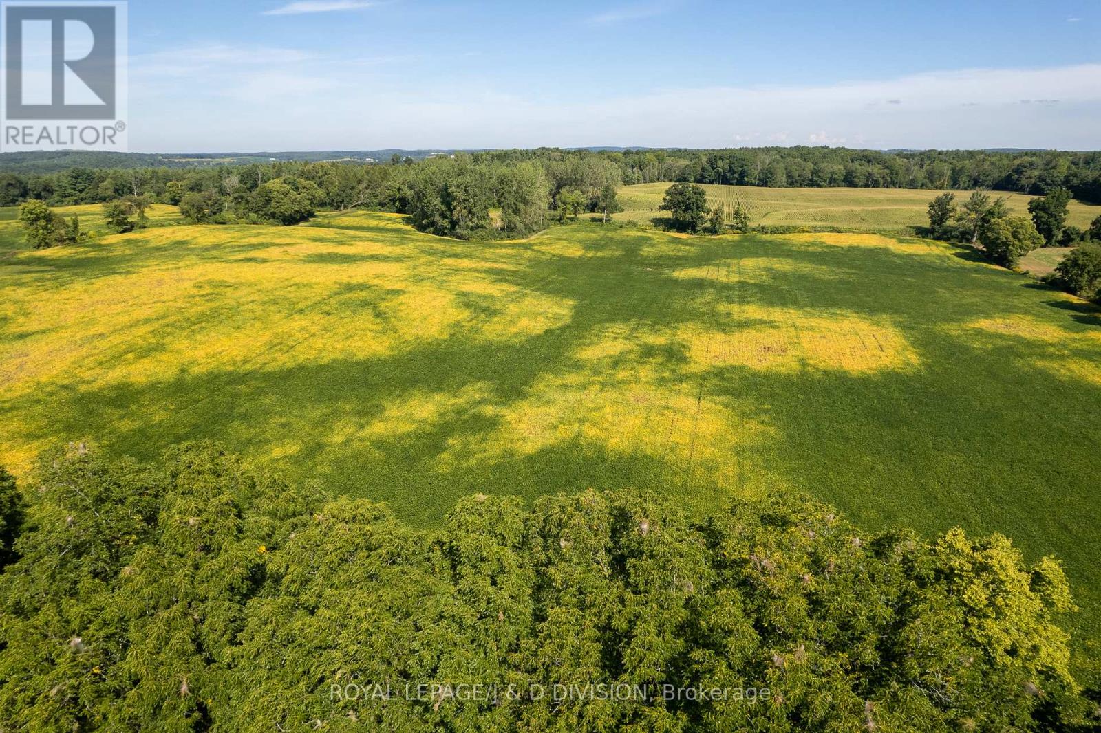 315 Mcpherson School Road, Brant, Ontario  N0E 1N0 - Photo 13 - X12517942