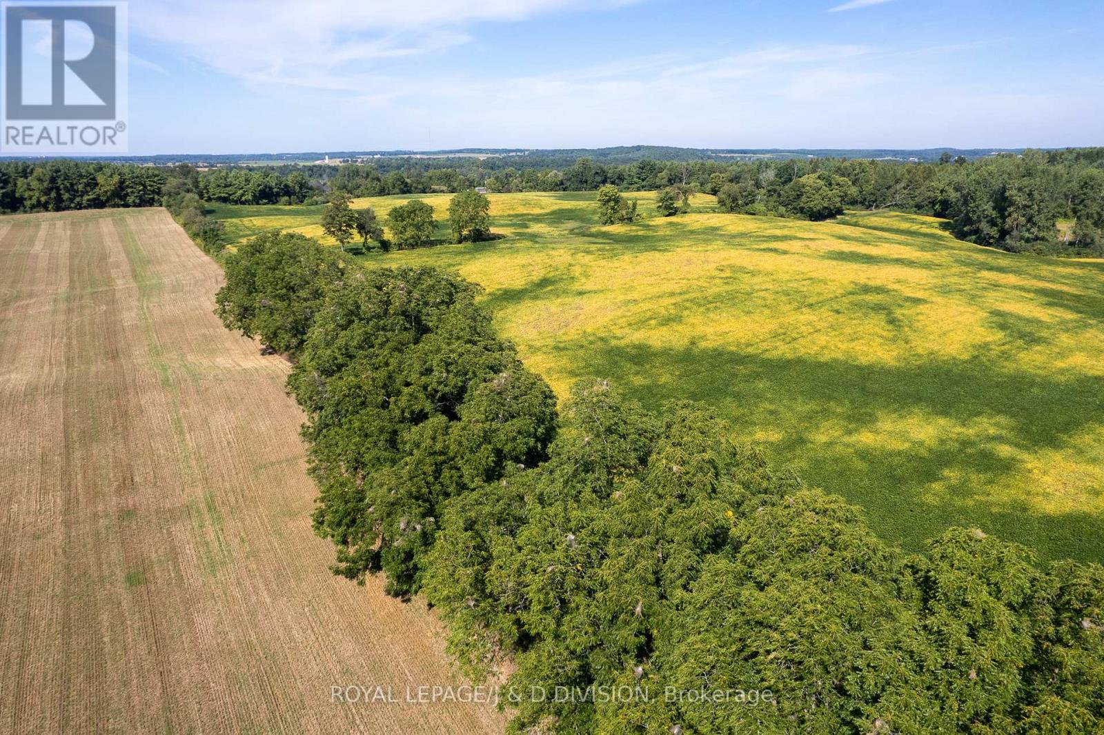 315 Mcpherson School Road, Brant, Ontario  N0E 1N0 - Photo 5 - X12517942