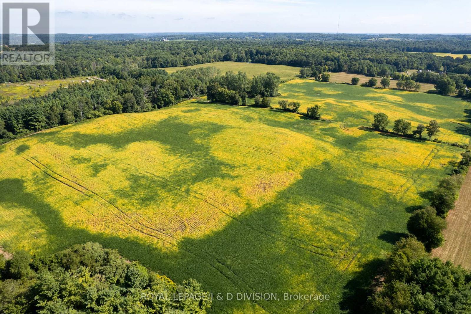 315 Mcpherson School Road, Brant, Ontario  N0E 1N0 - Photo 4 - X12517942