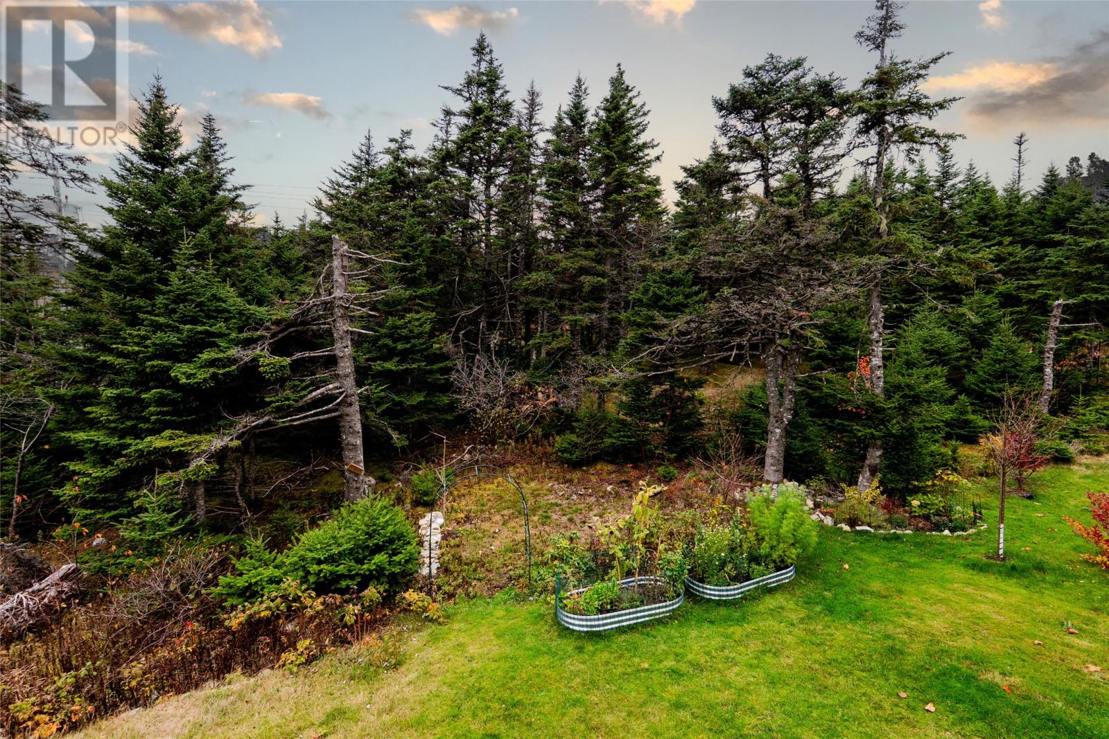 60 Claddagh Road, St. John's, Newfoundland & Labrador  A1H 0N6 - Photo 29 - 1292379