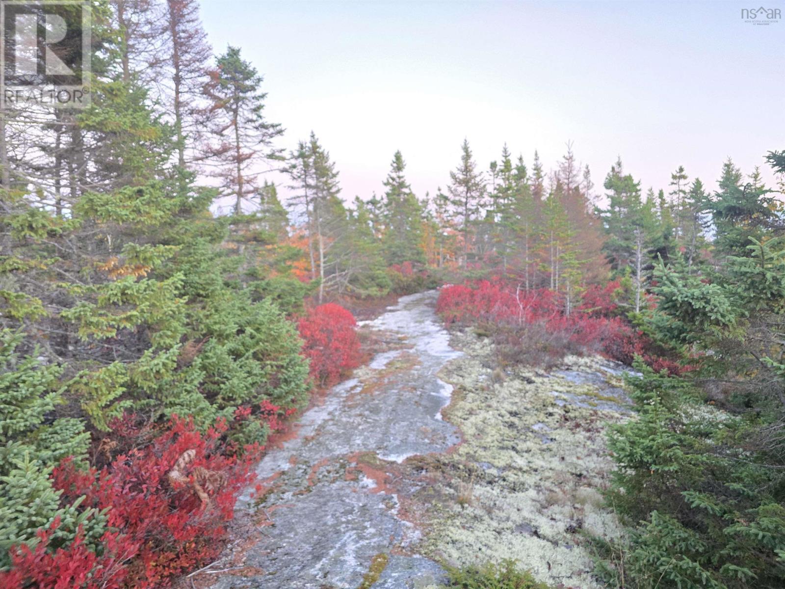 178 Berringer Road, West Dover, Nova Scotia  B3Z 3S8 - Photo 3 - 202527457