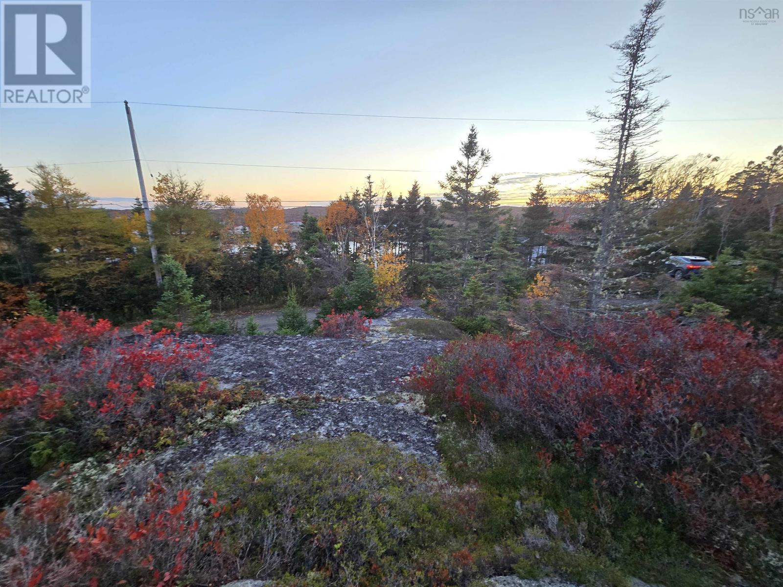 178 Berringer Road, West Dover, Nova Scotia  B3Z 3S8 - Photo 5 - 202527457