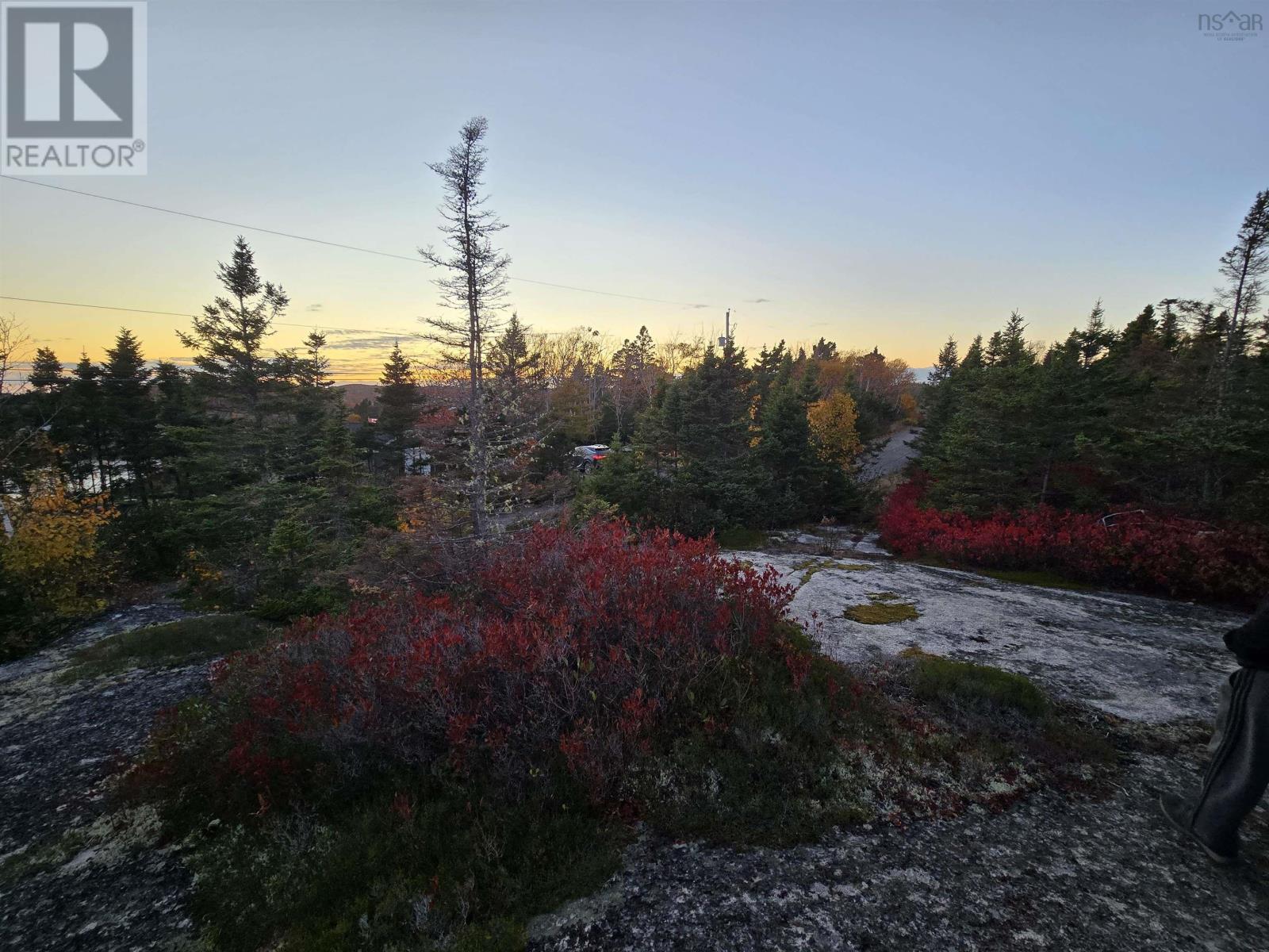 178 Berringer Road, West Dover, Nova Scotia  B3Z 3S8 - Photo 6 - 202527457