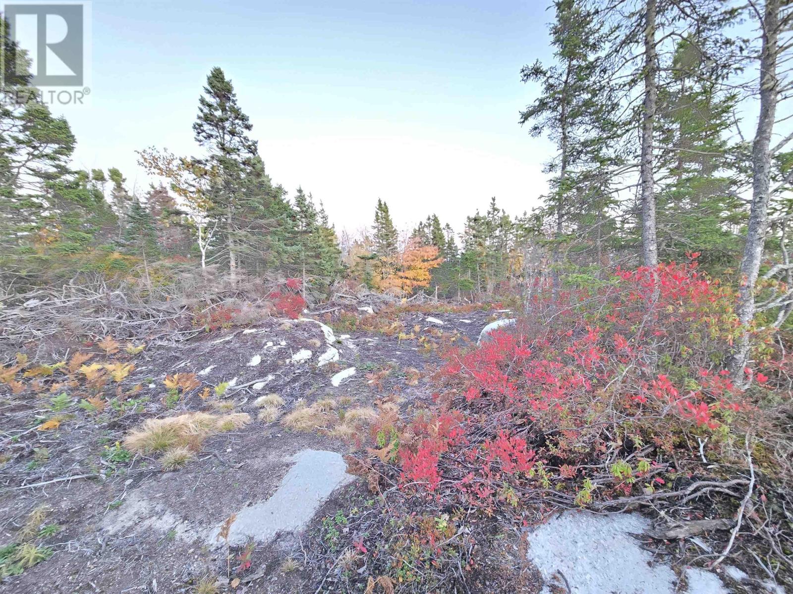 178 Berringer Road, West Dover, Nova Scotia  B3Z 3S8 - Photo 8 - 202527457