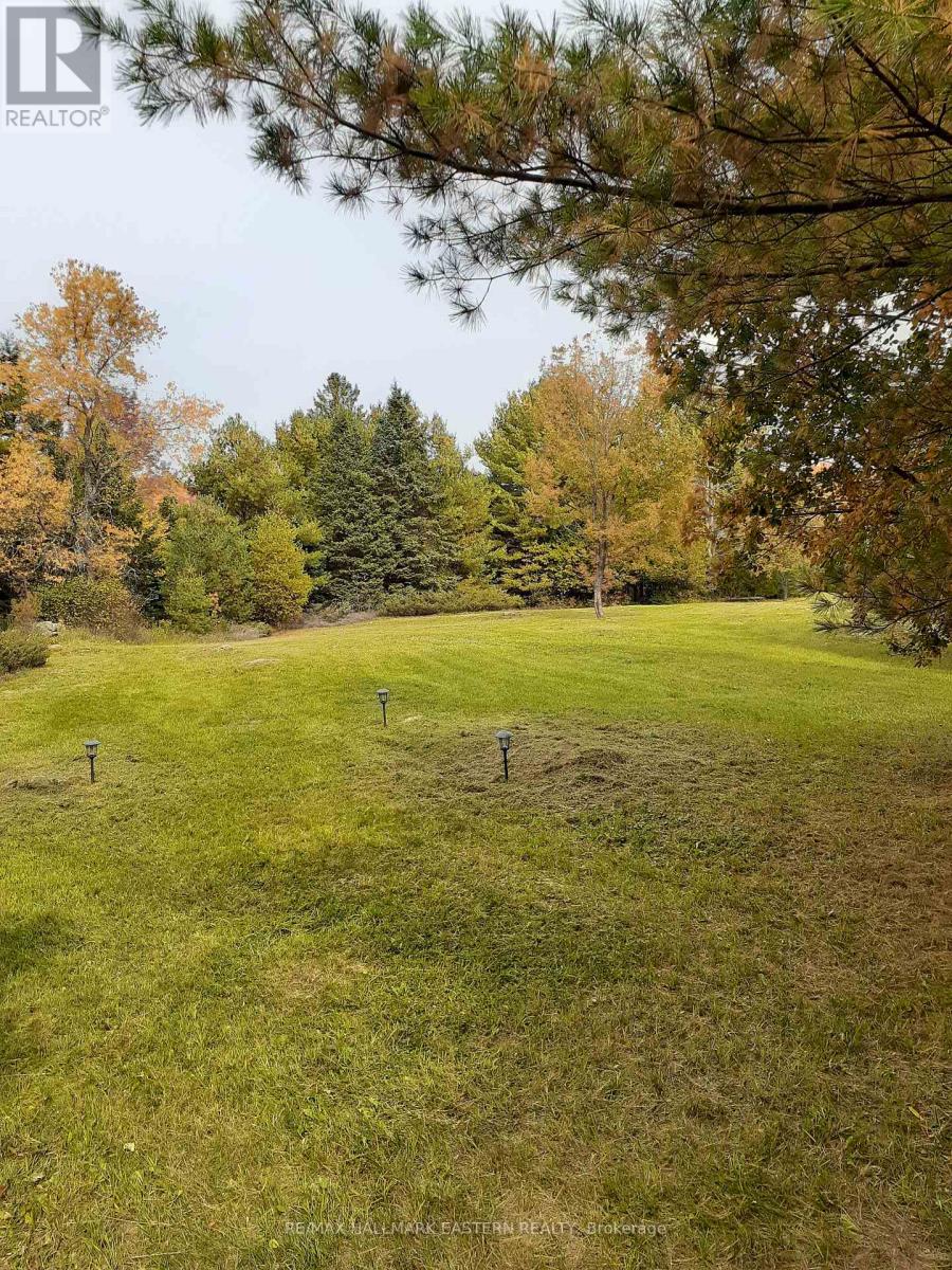 1614 County Road 504, North Kawartha, Ontario K0L 1A0 - Photo 1 - X12518794