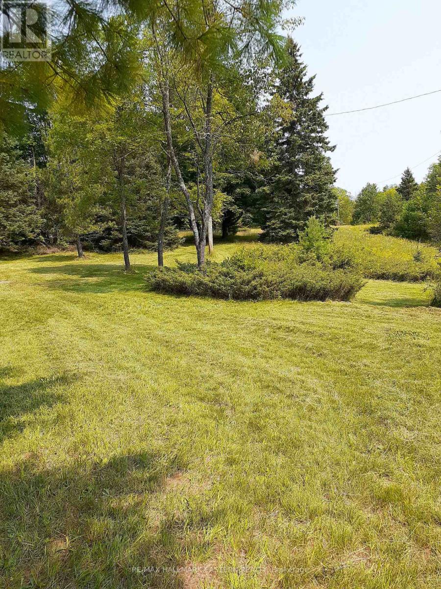 1614 County Road 504, North Kawartha, Ontario K0L 1A0 - Photo 2 - X12518794
