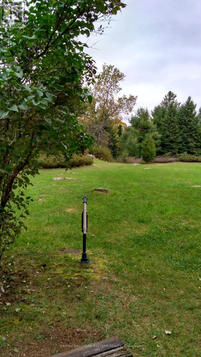 1614 County Road 504, North Kawartha, Ontario K0L 1A0 - Photo 3 - X12518794