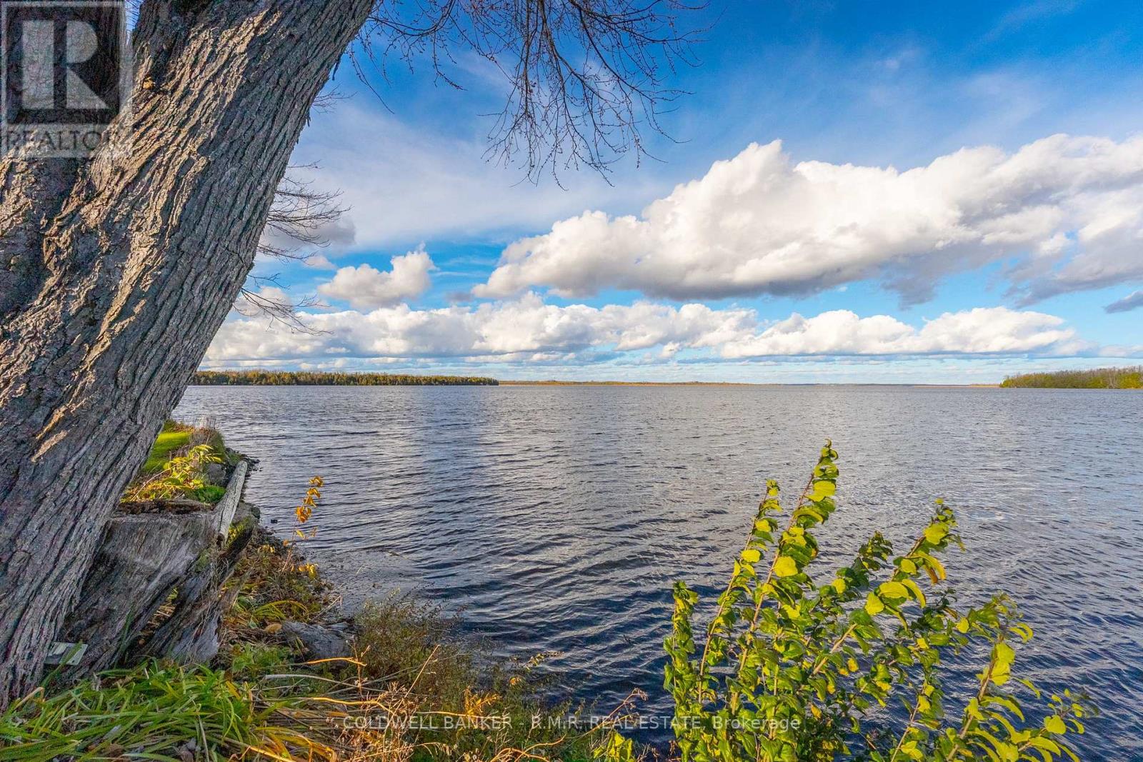 74 Butternut Drive, Kawartha Lakes, Ontario  K9V 4R1 - Photo 11 - X12518886