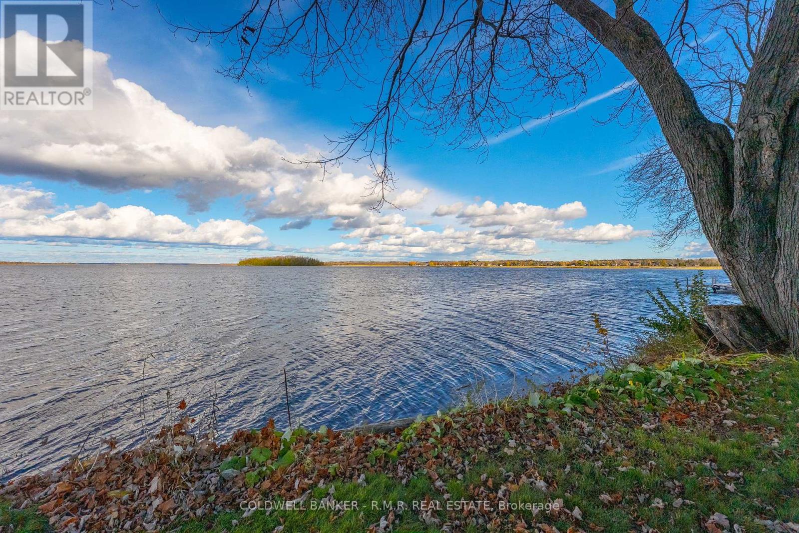 74 Butternut Drive, Kawartha Lakes, Ontario  K9V 4R1 - Photo 12 - X12518886