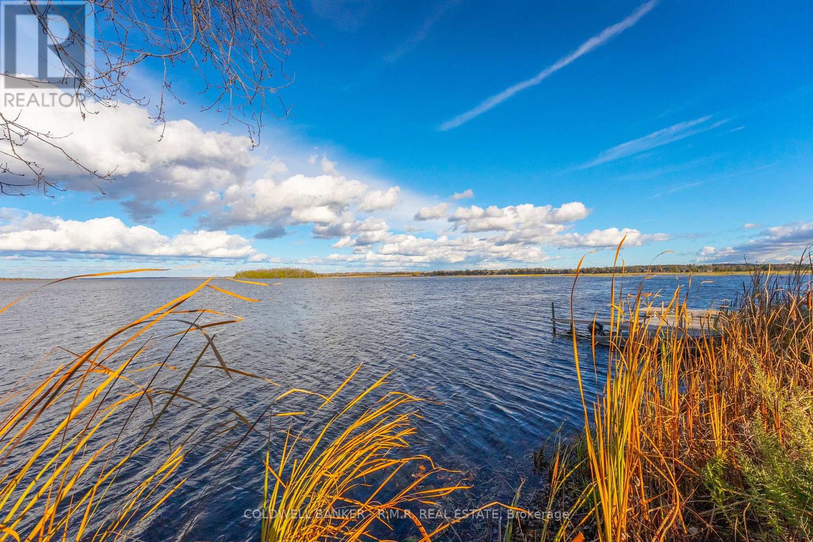 74 Butternut Drive, Kawartha Lakes, Ontario  K9V 4R1 - Photo 9 - X12518886