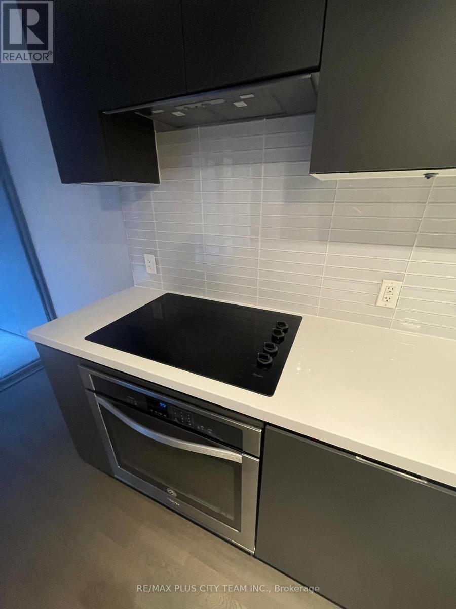 201 - 60 Colborne Street, Toronto, Ontario  M5E 0B7 - Photo 3 - C12518820