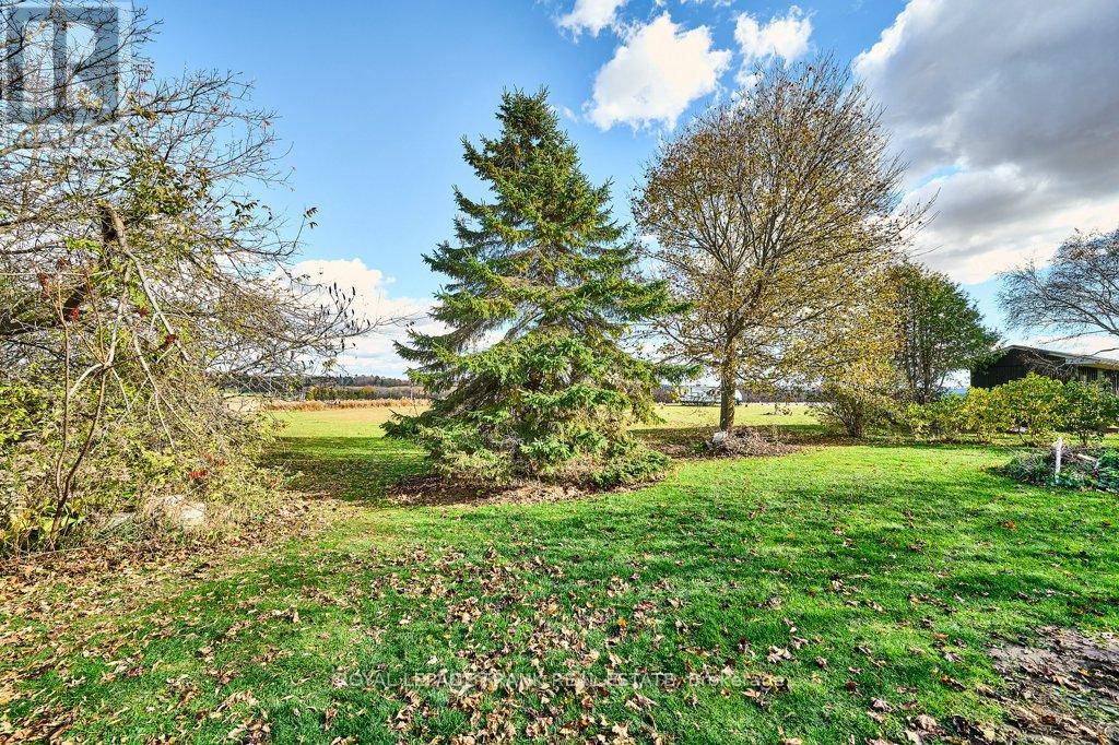 16121 Island Road, Scugog, Ontario L9L 1B4 - Photo 26 - E12519148