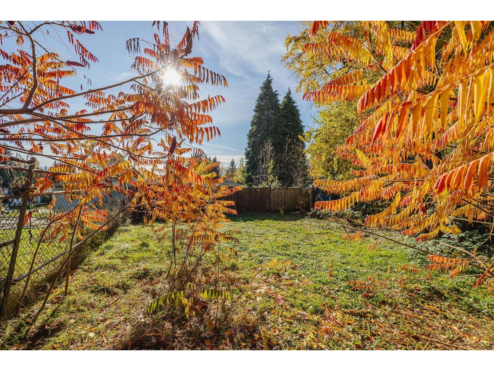 32826 Best Avenue, Mission, British Columbia V2V 2S8 - Photo 23 - R3065181