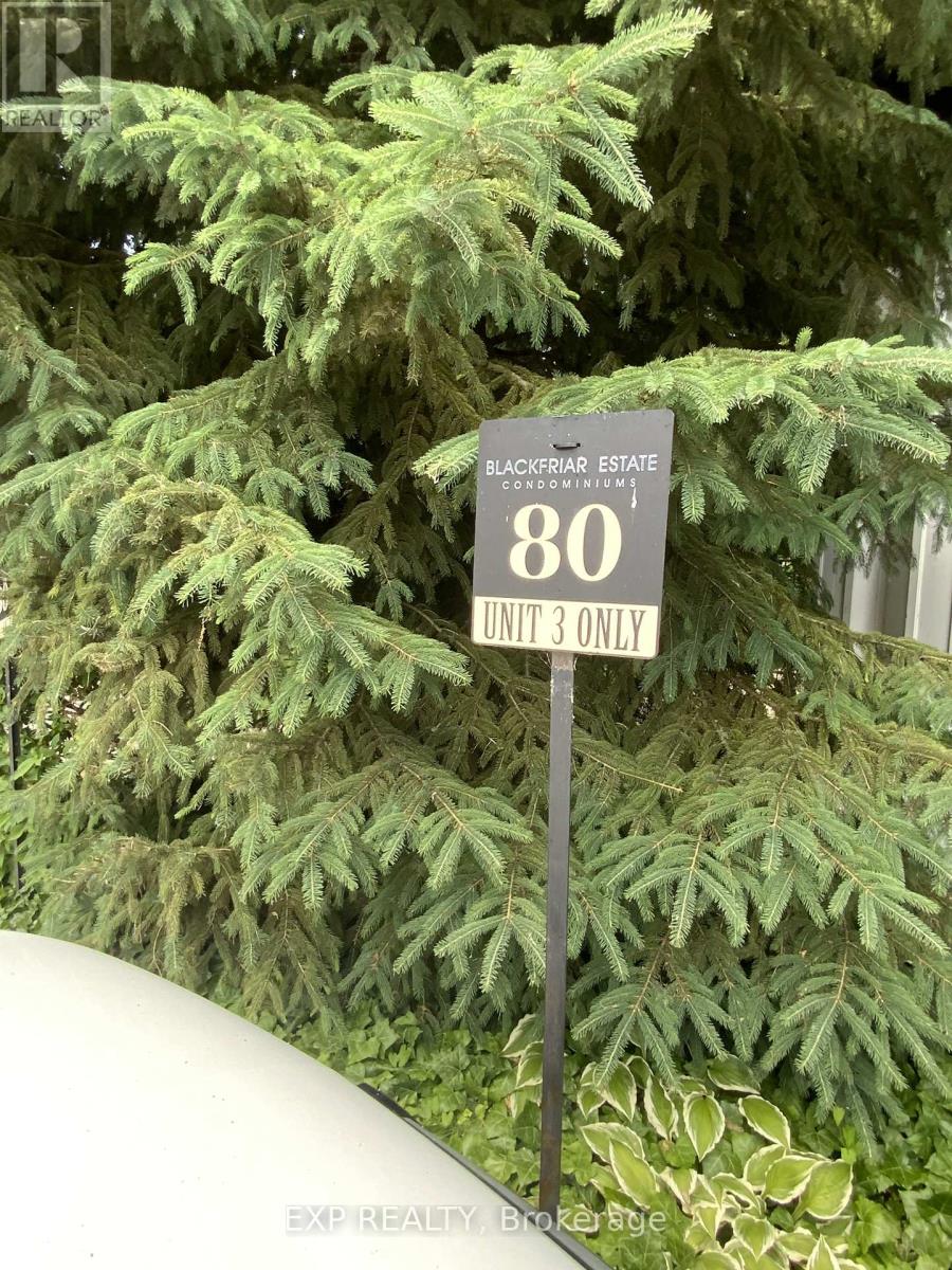 3 - 80 Barton Street, London East, Ontario  N6A 1N2 - Photo 31 - X12519138