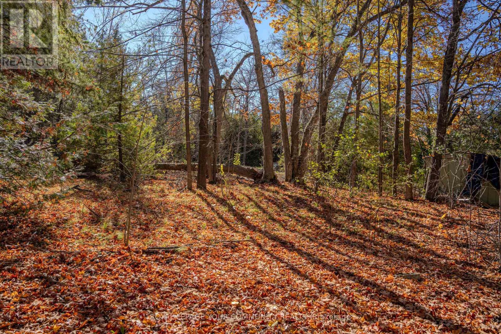 69 Fall's Bay Road, Kawartha Lakes, Ontario  K0M 1A0 - Photo 8 - X12518908