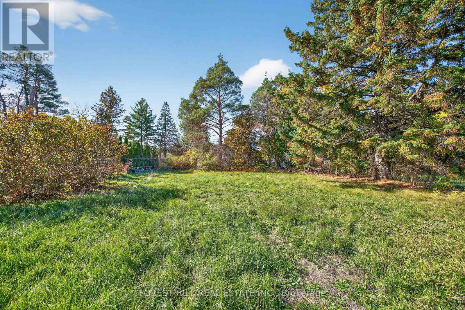 161 Mill Street, Essa, Ontario L0M 1B3 - Photo 20 - N12492782