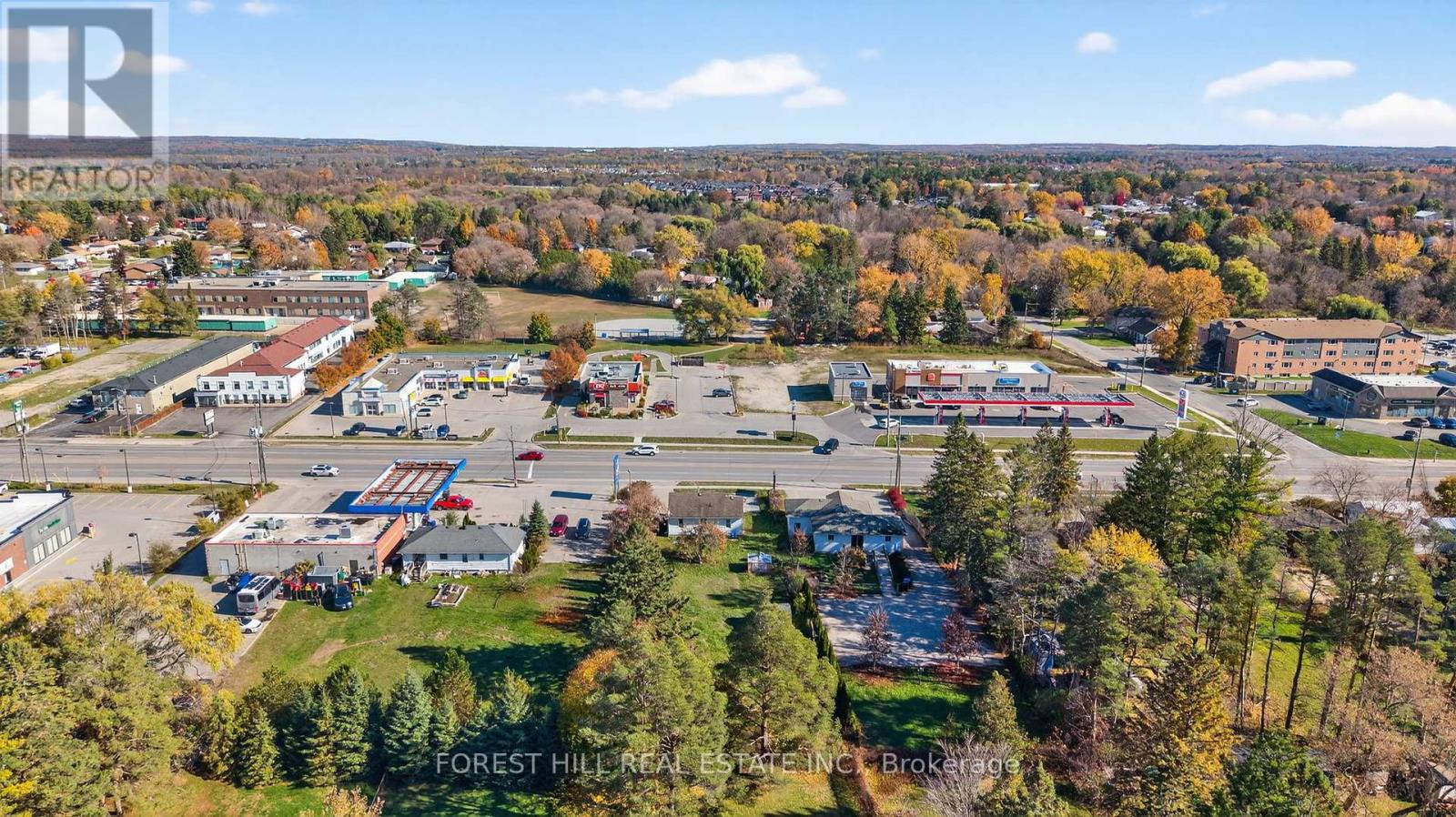 161 Mill Street, Essa, Ontario L0M 1B3 - Photo 5 - N12492782