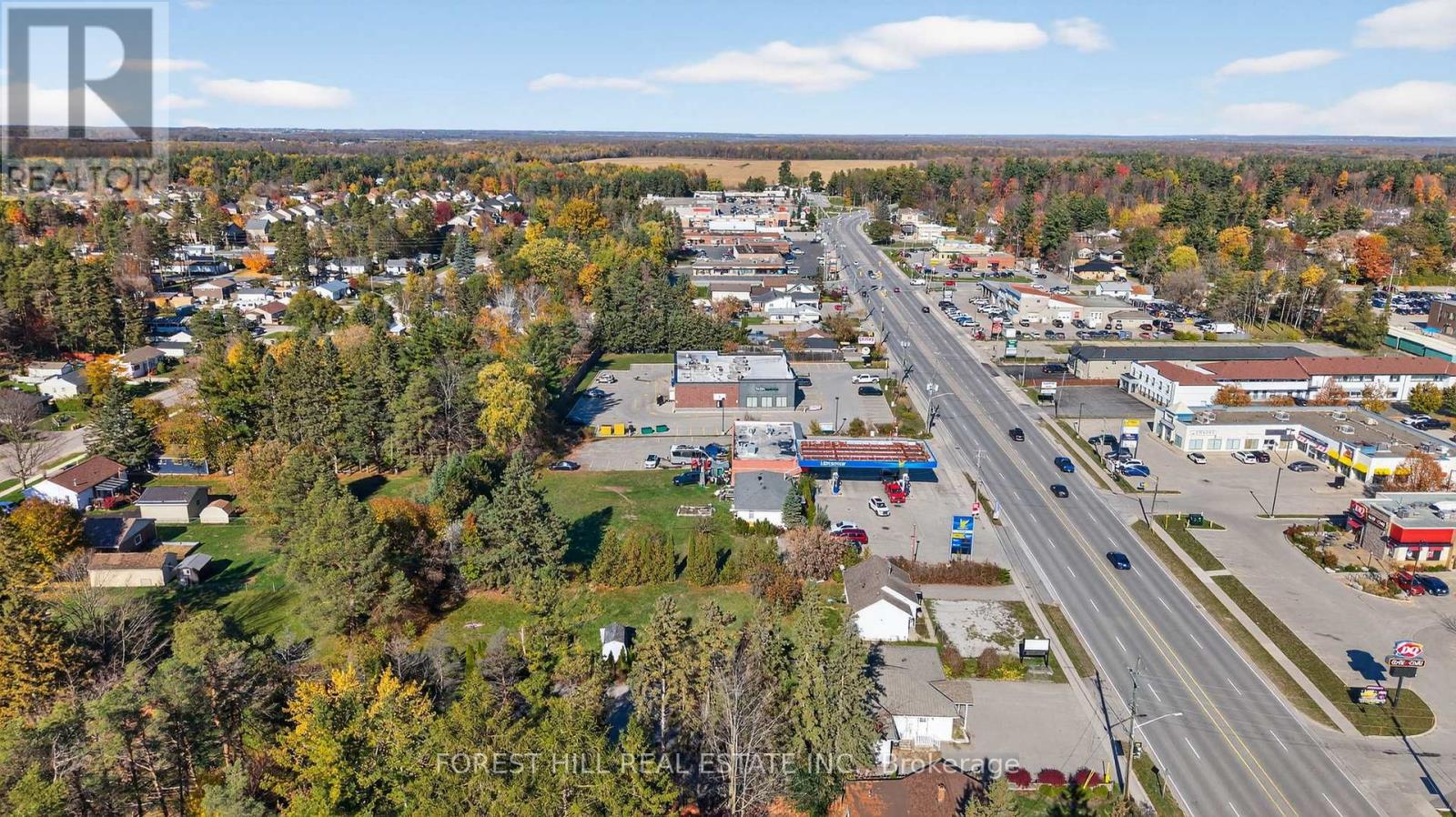 161 Mill Street, Essa, Ontario L0M 1B3 - Photo 6 - N12492782