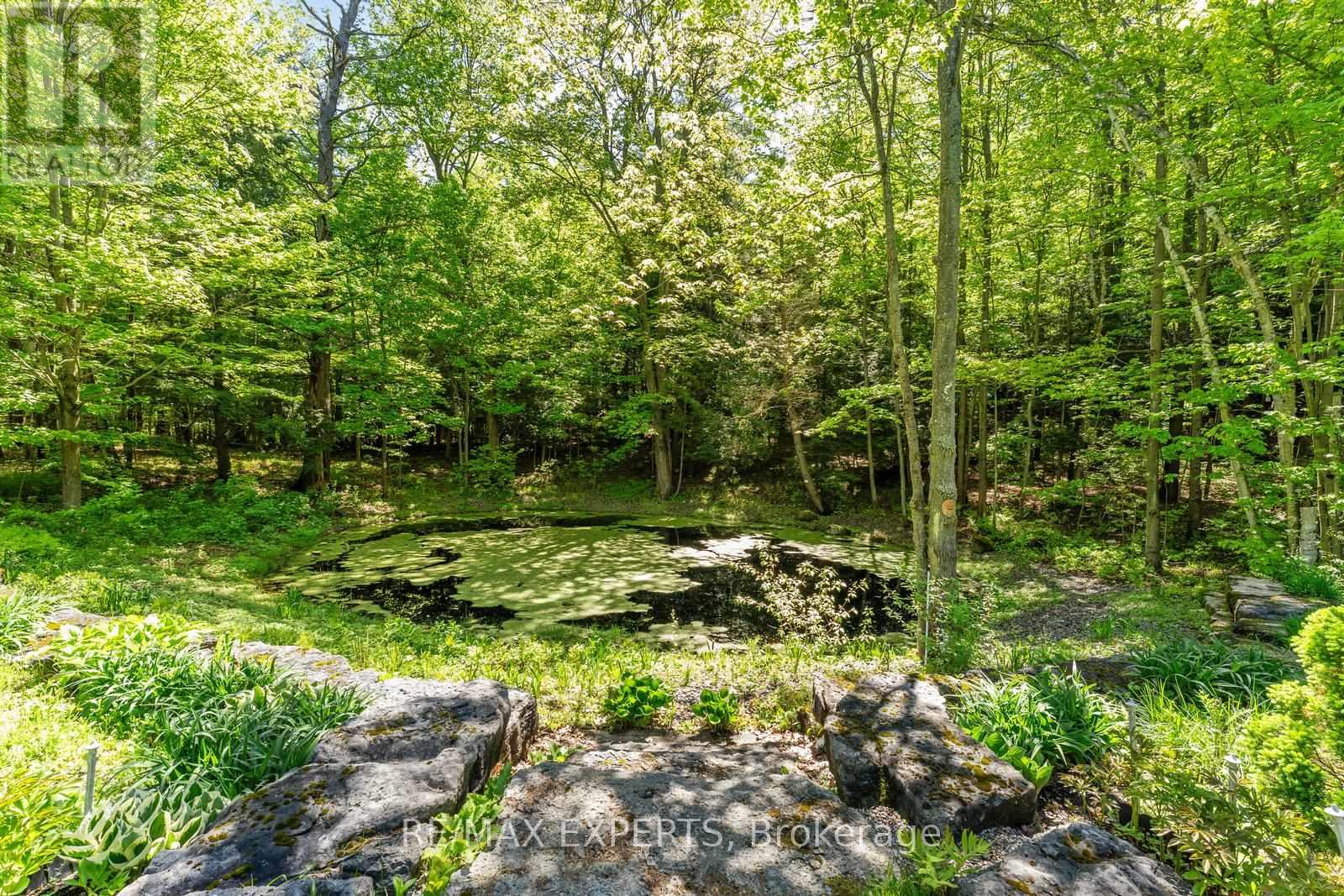 211 Pine Avenue, Caledon (Palgrave), Ontario  L7E 3S7 - Photo 48 - W12506994