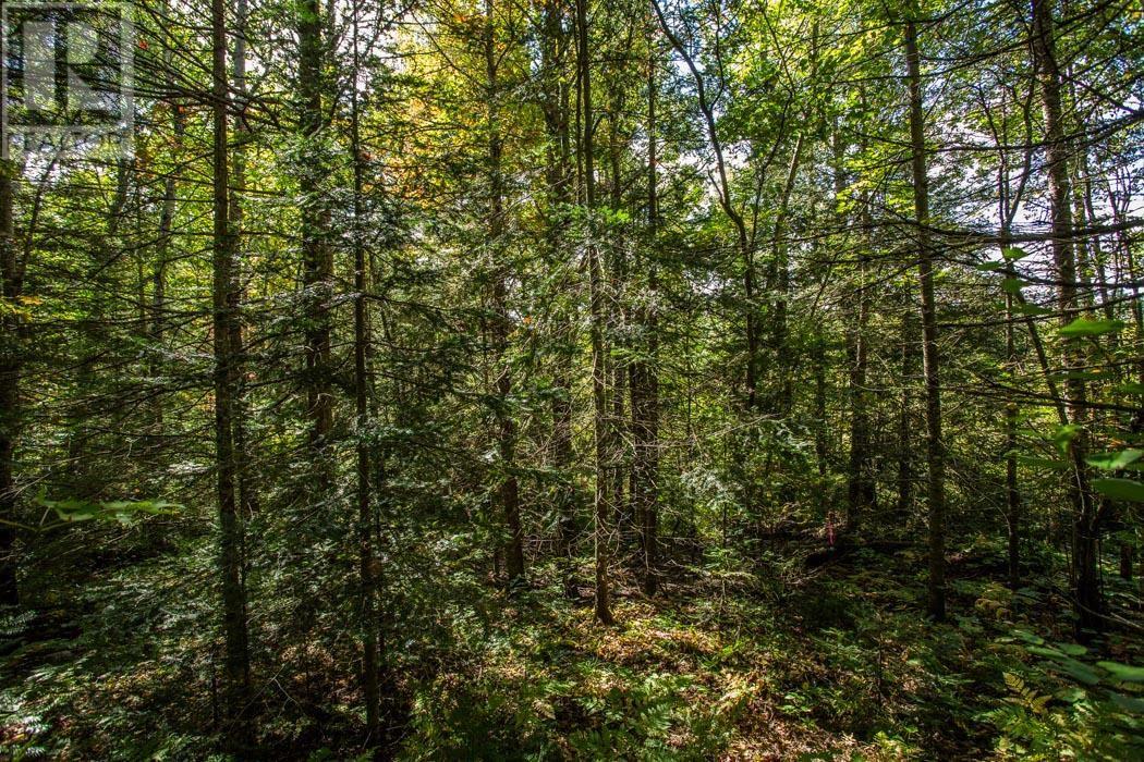 5th Concession Rd, Bruce Mines, Ontario  P0R 1C0 - Photo 18 - SM252704