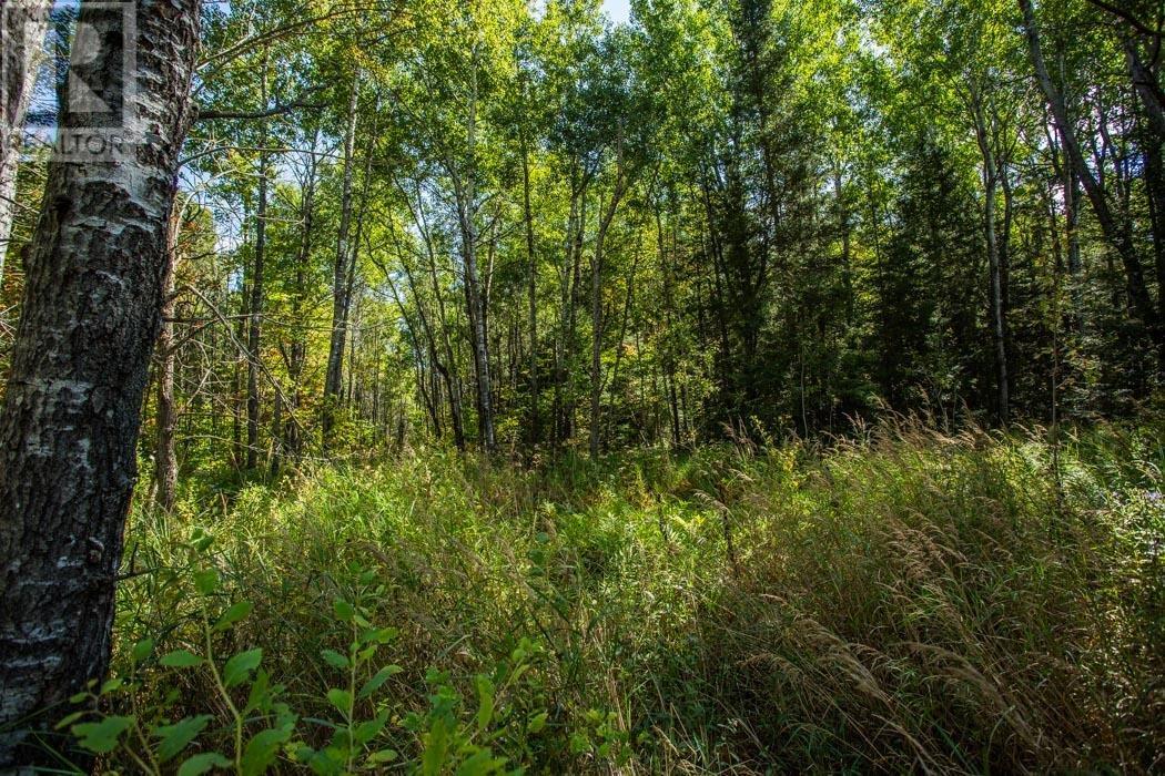 5th Concession Rd, Bruce Mines, Ontario  P0R 1C0 - Photo 21 - SM252704