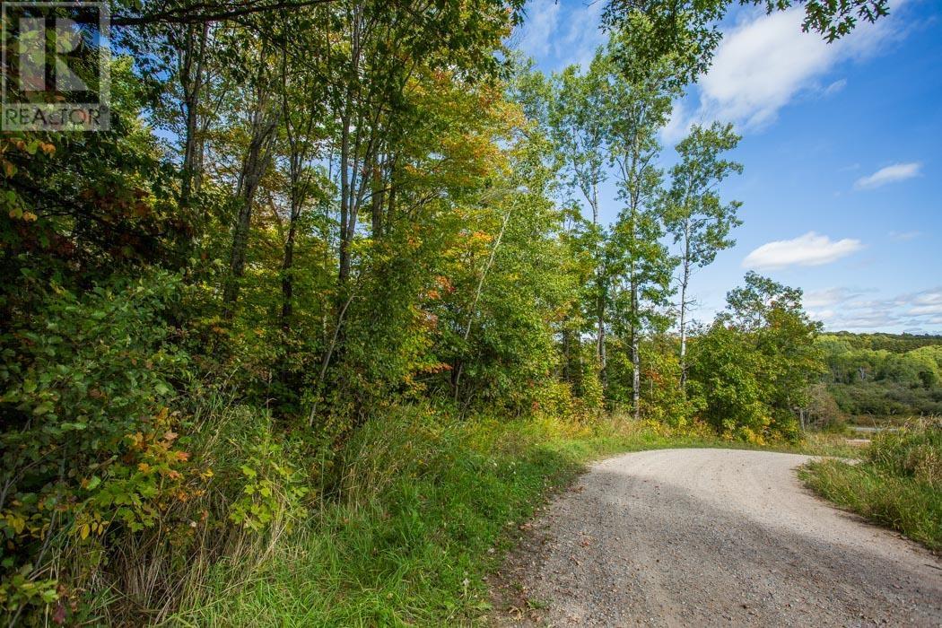 Corner Of Carter Side Road And Gordon Lake Road Pa, Johnson Township, Ontario  P0R 1E0 - Photo 15 - SM252706