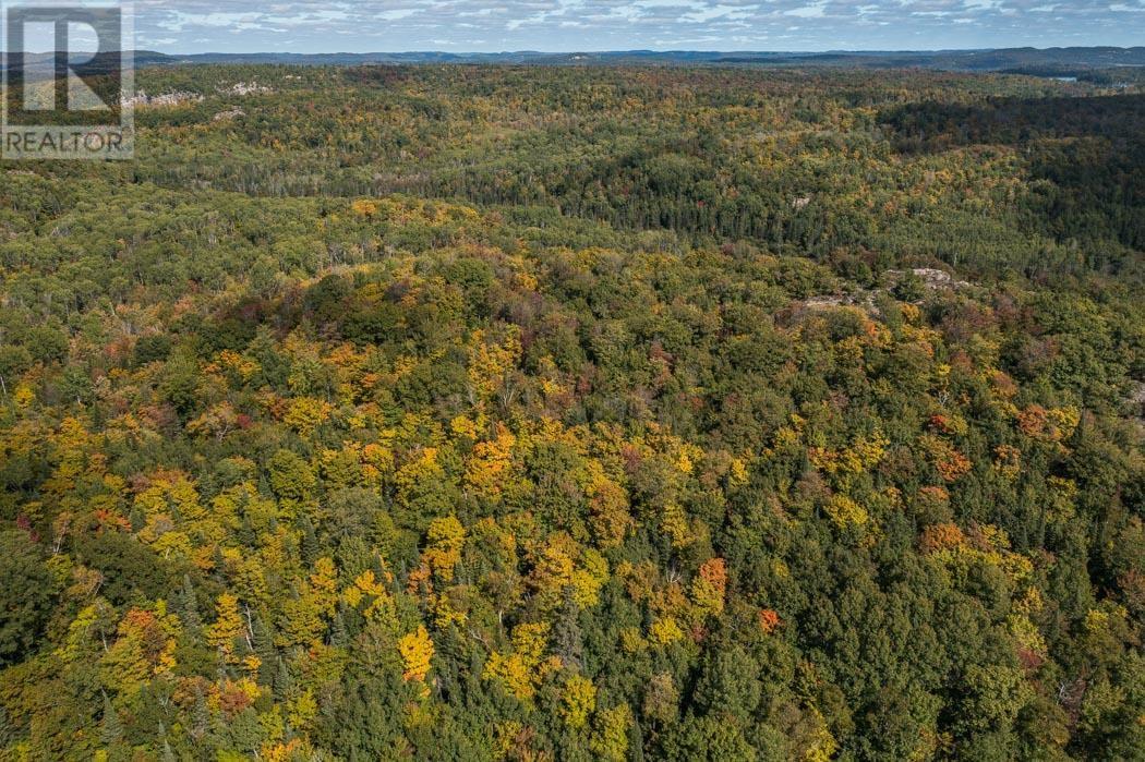 Corner Of Carter Side Road And Gordon Lake Road Pa, Johnson Township, Ontario  P0R 1E0 - Photo 5 - SM252706