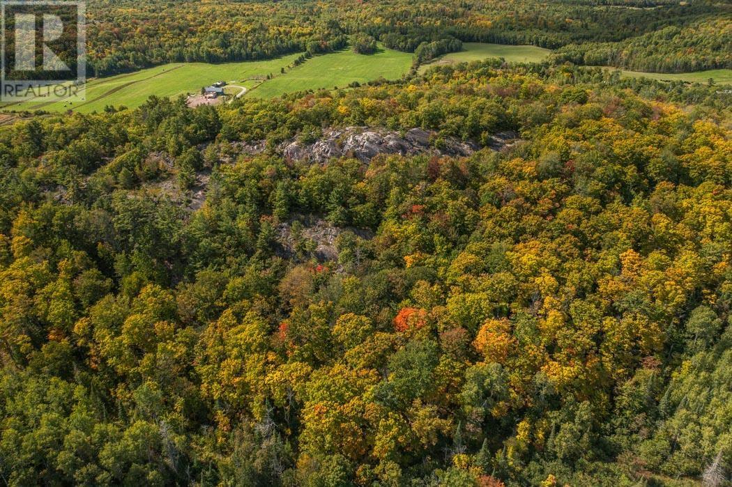 Corner Of Carter Side Road And Gordon Lake Road Pa, Johnson Township, Ontario  P0R 1E0 - Photo 10 - SM252706