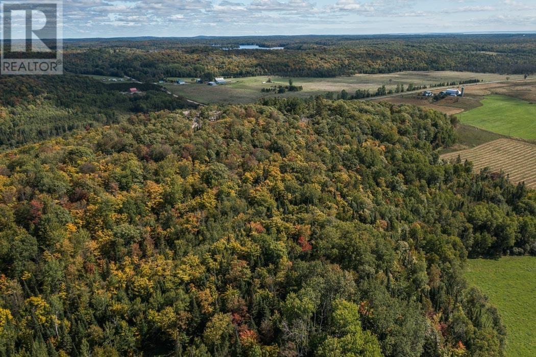 Corner Of Carter Side Road And Gordon Lake Road Pa, Johnson Township, Ontario  P0R 1E0 - Photo 4 - SM252706