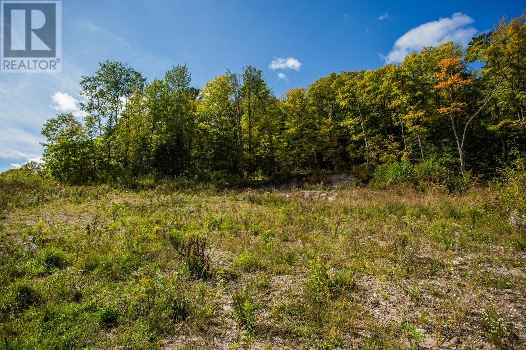 Corner Of Carter Side Road And Gordon Lake Road Pa, Johnson Township, Ontario  P0R 1E0 - Photo 22 - SM252706