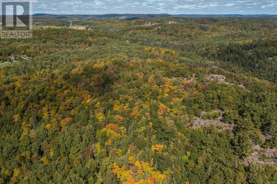 Corner Of Carter Side Road And Gordon Lake Road Pa, Johnson Township, Ontario  P0R 1E0 - Photo 6 - SM252706