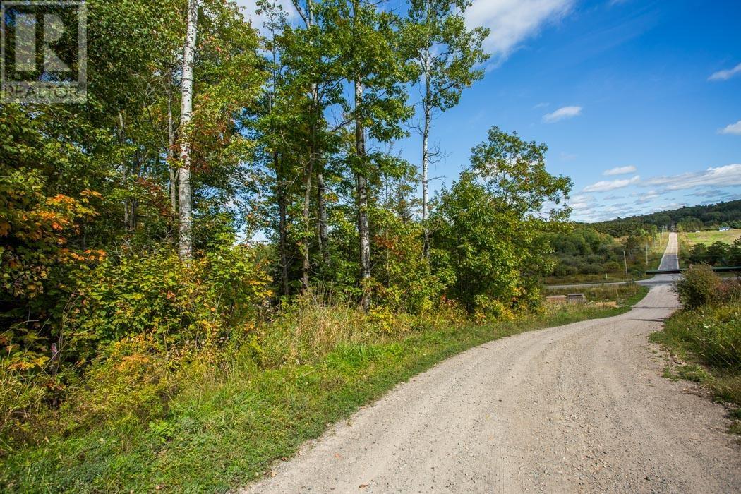 Corner Of Carter Side Road And Gordon Lake Road Pa, Johnson Township, Ontario  P0R 1E0 - Photo 17 - SM252706